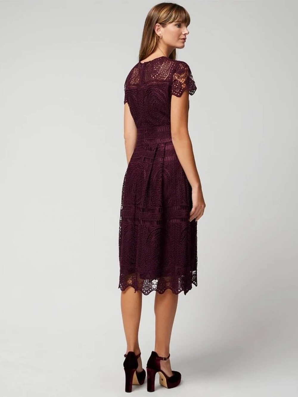 White House Black Market Embroidered Lace Fit-and-Flare in Cabernet - Picture 3 of 6